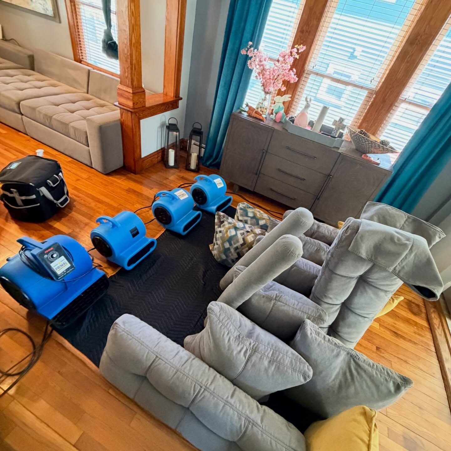 Air movers drying a freshly cleaned sectional sofa and rug