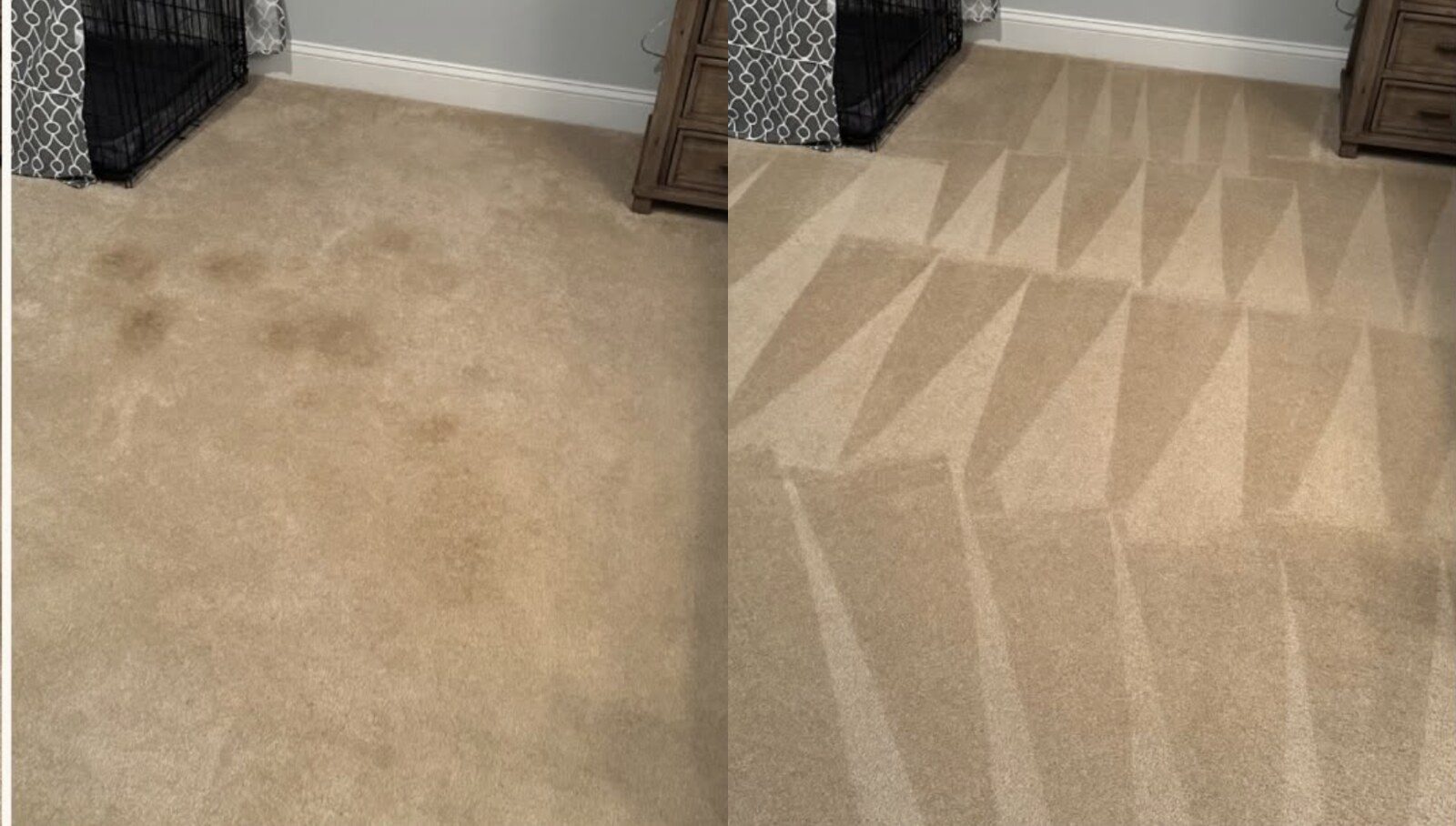 Pet stains on bedroom carpet before and after deep cleaning, dog crate visible